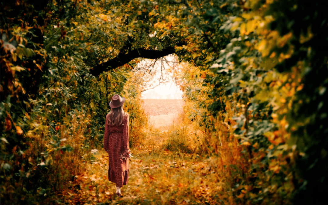 From Family Law to Intuitive Healing